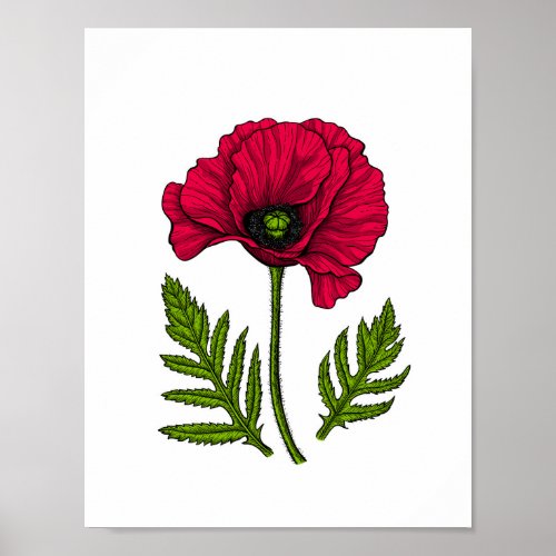 Red poppy drawing 3 poster