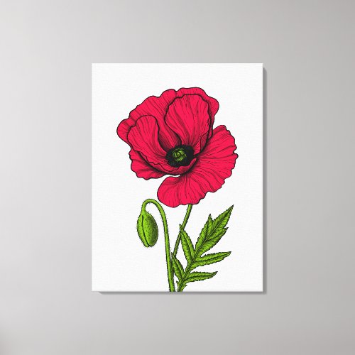 Red poppy drawing canvas print