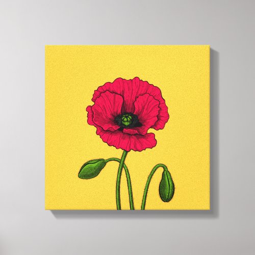 Red poppy drawing canvas print
