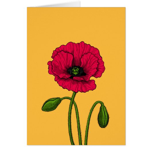 Red poppy drawing cards (Front)