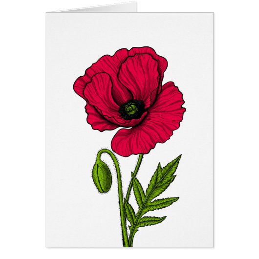 Red poppy drawing cards (Front)