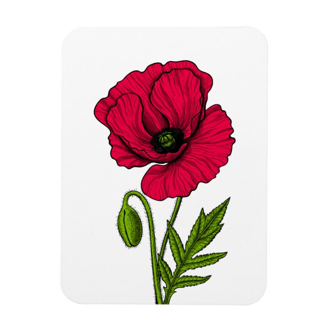 Red poppy drawing magnet (Vertical)
