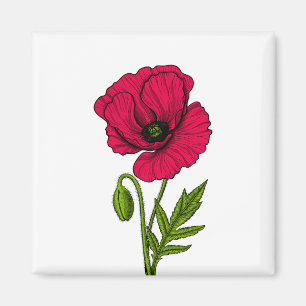 Red poppy drawing magnet