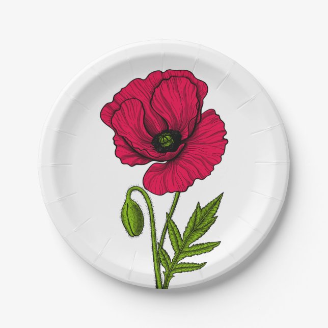 Red poppy drawing paper plates (Front)