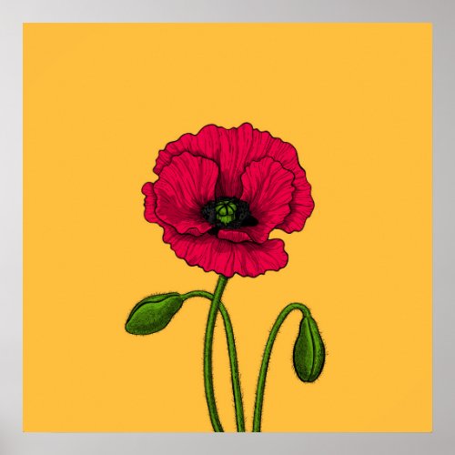 Red poppy drawing poster