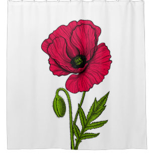 Red poppy drawing shower curtain