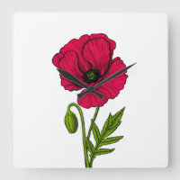 Red poppy drawing