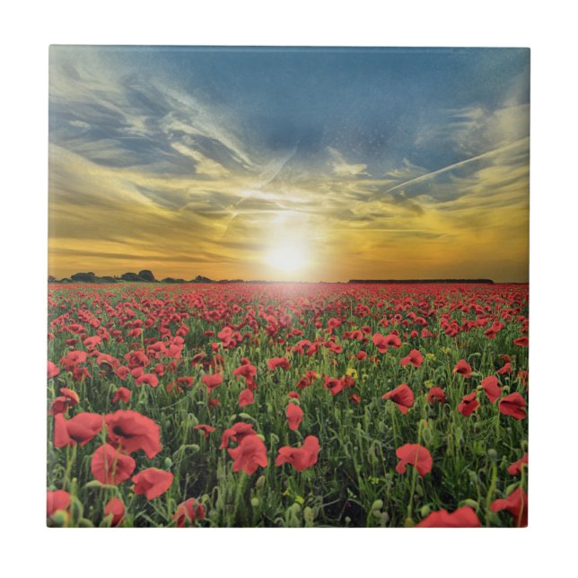 Red Poppy Field At Sunset Ceramic Tile (Front)