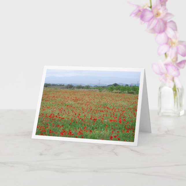 Red Poppy Field Card (Orchid)