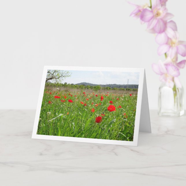 Red Poppy Field Card (Orchid)