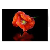 Red Poppy Flower (Front Horizontal)