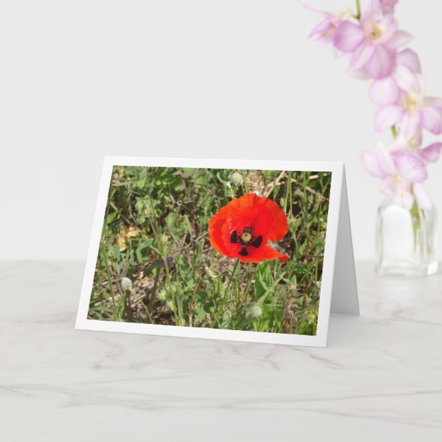 Red Poppy Flower Card (Orchid)