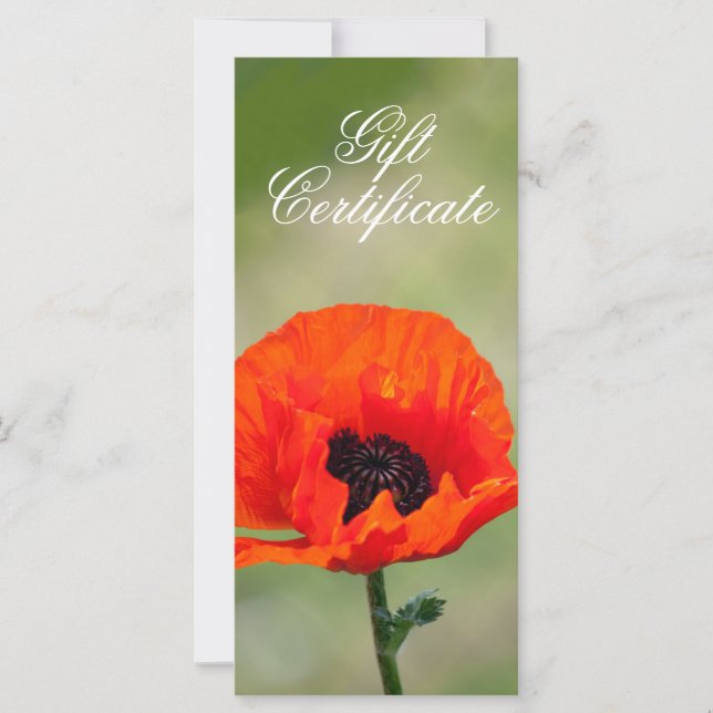 Red Poppy Flower Gift Certificate (Front)