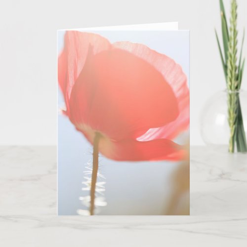 Red Poppy Flower in the Mist Any Occasion Card