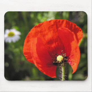 Red Poppy Flower Mousepad