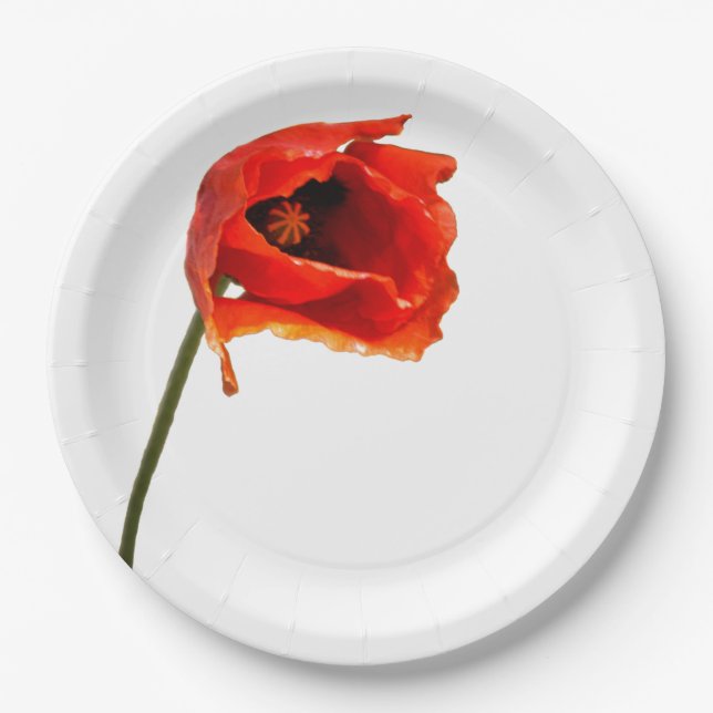 Red poppy flower paper plates (Front)
