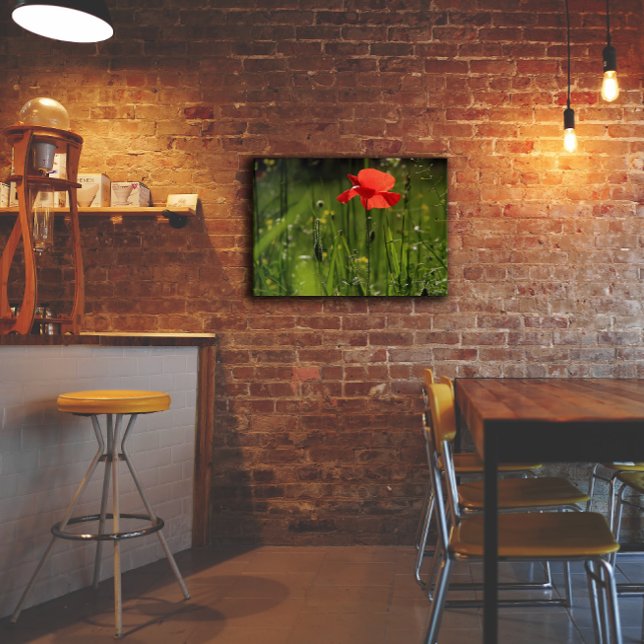 Red poppy flower photo acrylic print (Creator Uploaded)