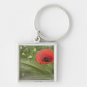 Red poppy flower, Tuscany, Italy Keychain