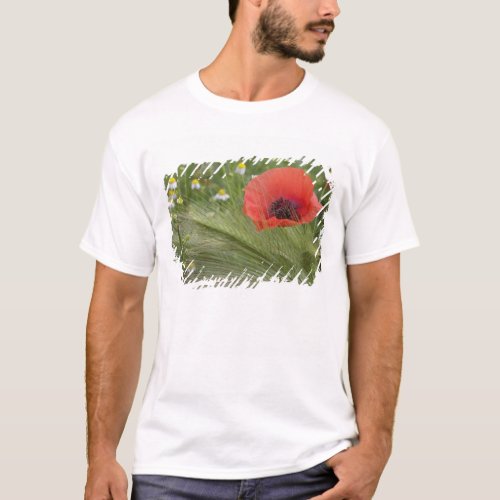 Red poppy flower Tuscany Italy T_Shirt