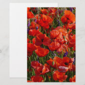 Red Poppy Flowers (Front/Back)