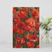 Red Poppy Flowers (Standing Front)