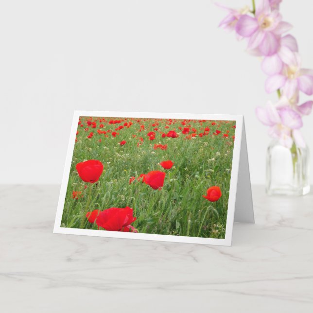 Red Poppy Flowers Card (Orchid)