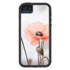Red Poppy Flowers