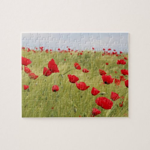 Red Poppy Flowers Field Nature  Jigsaw Puzzle