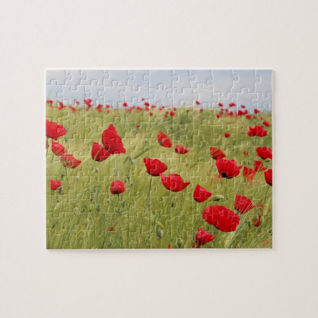Red Poppy Flowers Field Nature  Jigsaw Puzzle (Horizontal)
