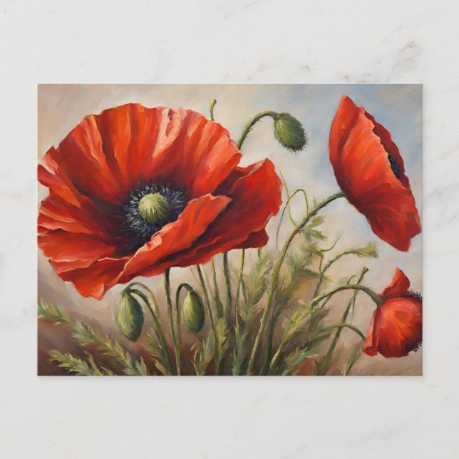 Red Poppy Flowers  Postcard (Front)