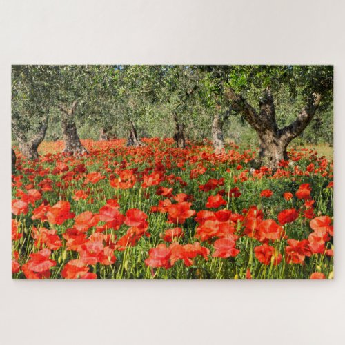 Red poppy flowers under old olive trees jigsaw puzzle