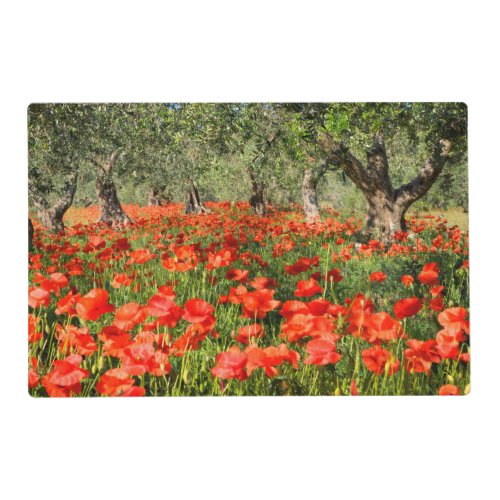 Red poppy flowers under old olive trees placemat