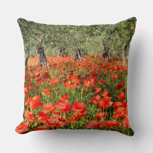 Red poppy flowers under old olive trees throw pillow