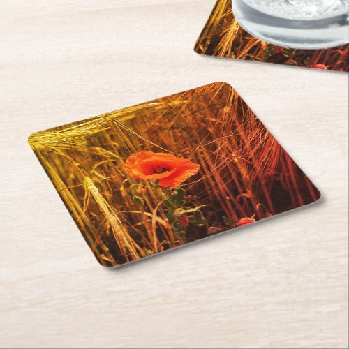 Red Poppy In Golden Wheat Field Thanksgiving Square Paper Coaster