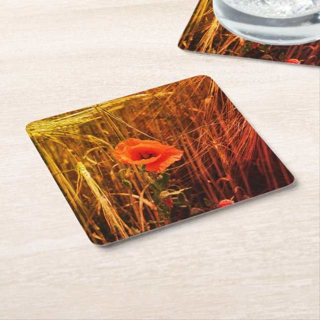 Red Poppy In Golden Wheat Field Thanksgiving Square Paper Coaster (Angled)
