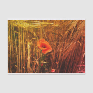 Red Poppy In Golden Wheat Field Thanksgiving Tissue Paper
