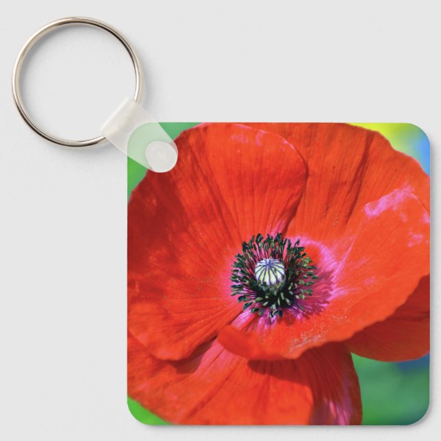 Red Poppy in the Sunshine Photograph Keychain (Front)