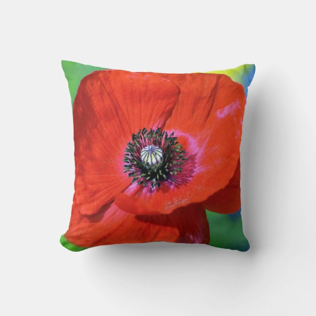 Red Poppy in the Sunshine Photograph Throw Pillow (Front)