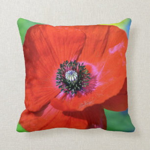 Red Poppy in the Sunshine Photograph Throw Pillow