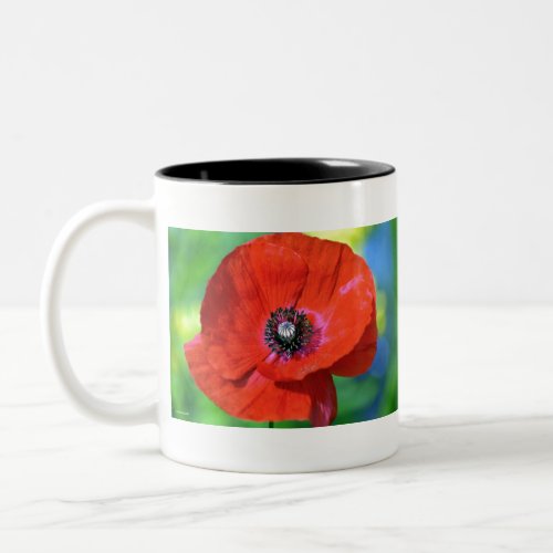 Red Poppy in the Sunshine Photograph Two_Tone Coffee Mug