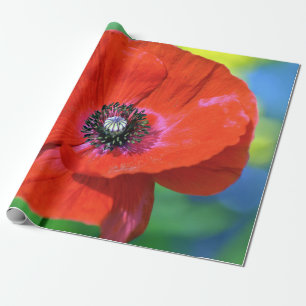 Red Poppy in the Sunshine Photograph Wrapping Paper