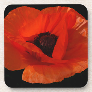 Red Poppy Macro Drink Coaster