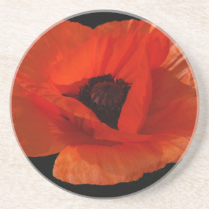 Red Poppy Macro Sandstone Coaster