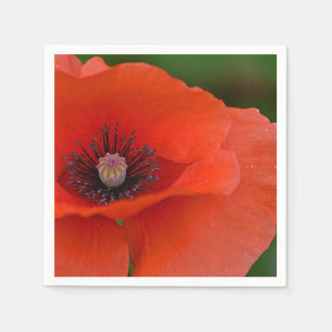 Red Poppy Napkin