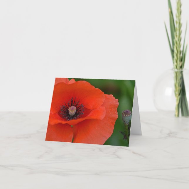 Red Poppy Notecard (Front)