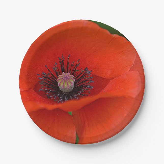 Red Poppy Paper Plate (Front)