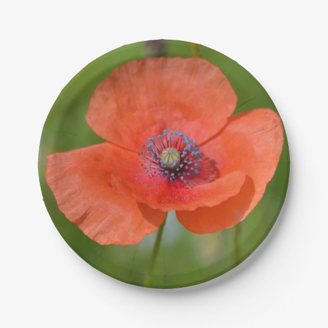 Red Poppy Paper Plate (Front)