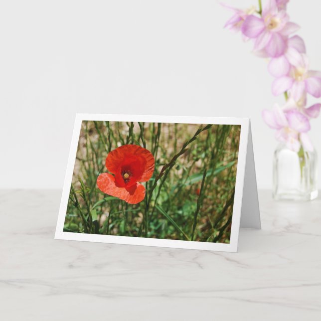 Red Poppy Portrait Card (Orchid)