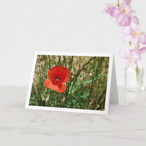 Red Poppy Portrait Card