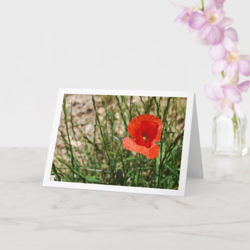 Red Poppy Portrait Card